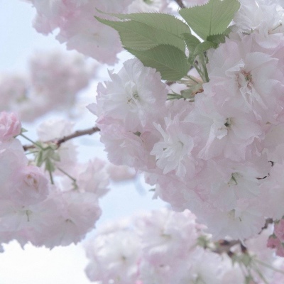 金东FurryQQ群介绍